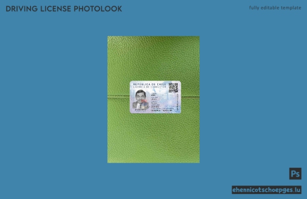 Chile Dl psd photolook sample preview